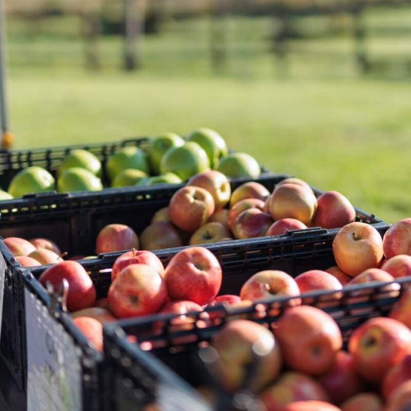 Market apples   Copy